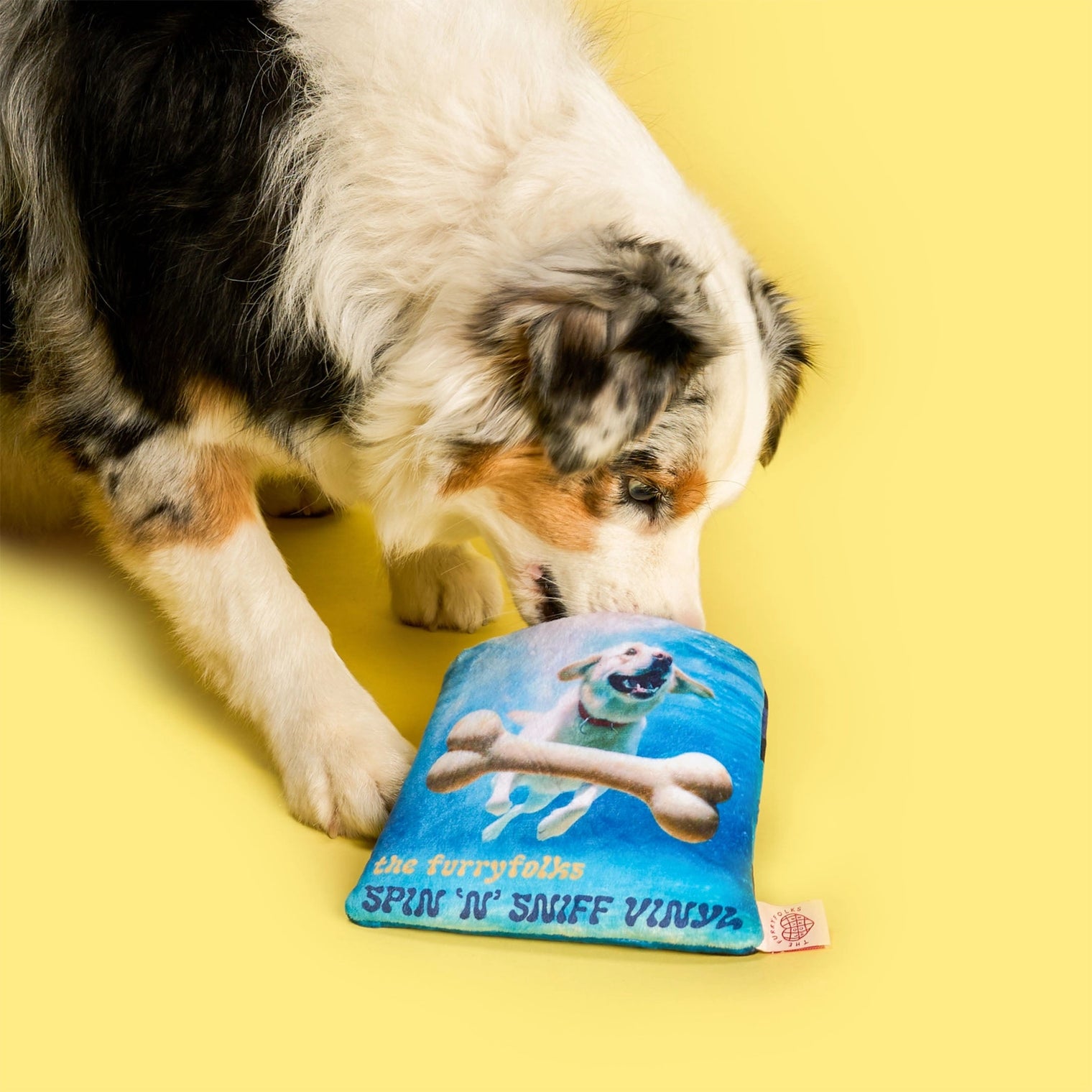 Vinyl Record Nosework Toy