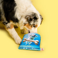 Vinyl Record Nosework Toy