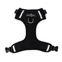 Midnight No-Pull Harness