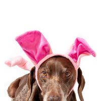Pig Halloween Costume Headband and Tail