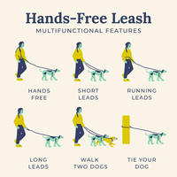 Lucy Fern Hands Free Rope Leash