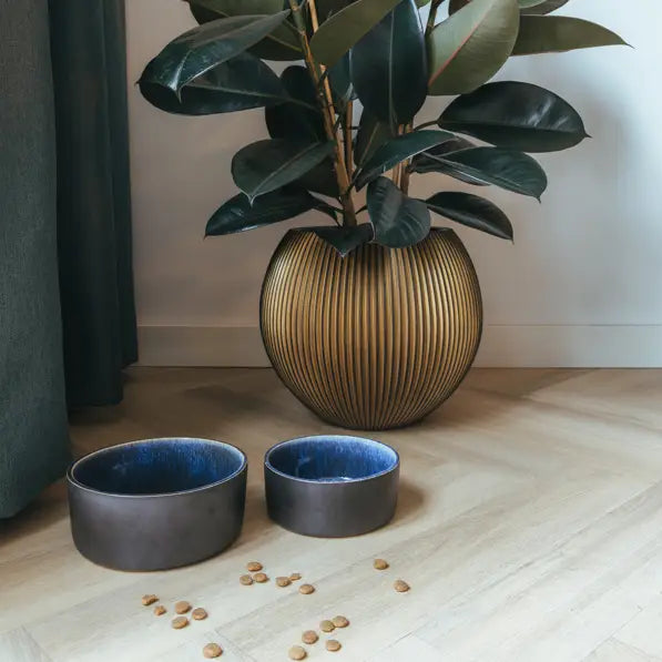 Ceramic Dog Bowl Manta Blue