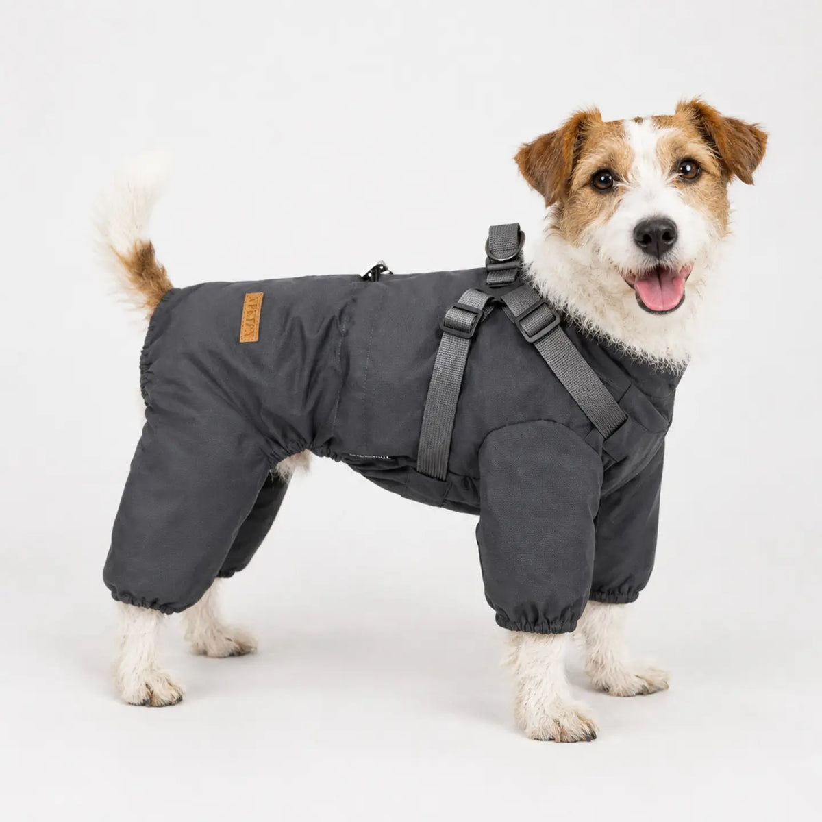 Grey Waterproof Dog Raincoat Onesie