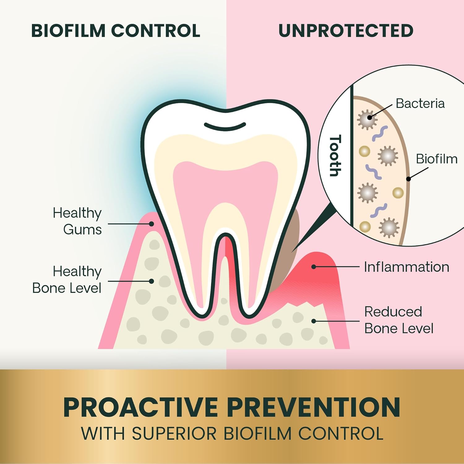 VetriScience Perio Dental Care Powder