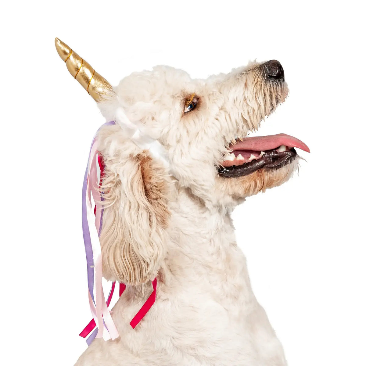 Unicorn Headband