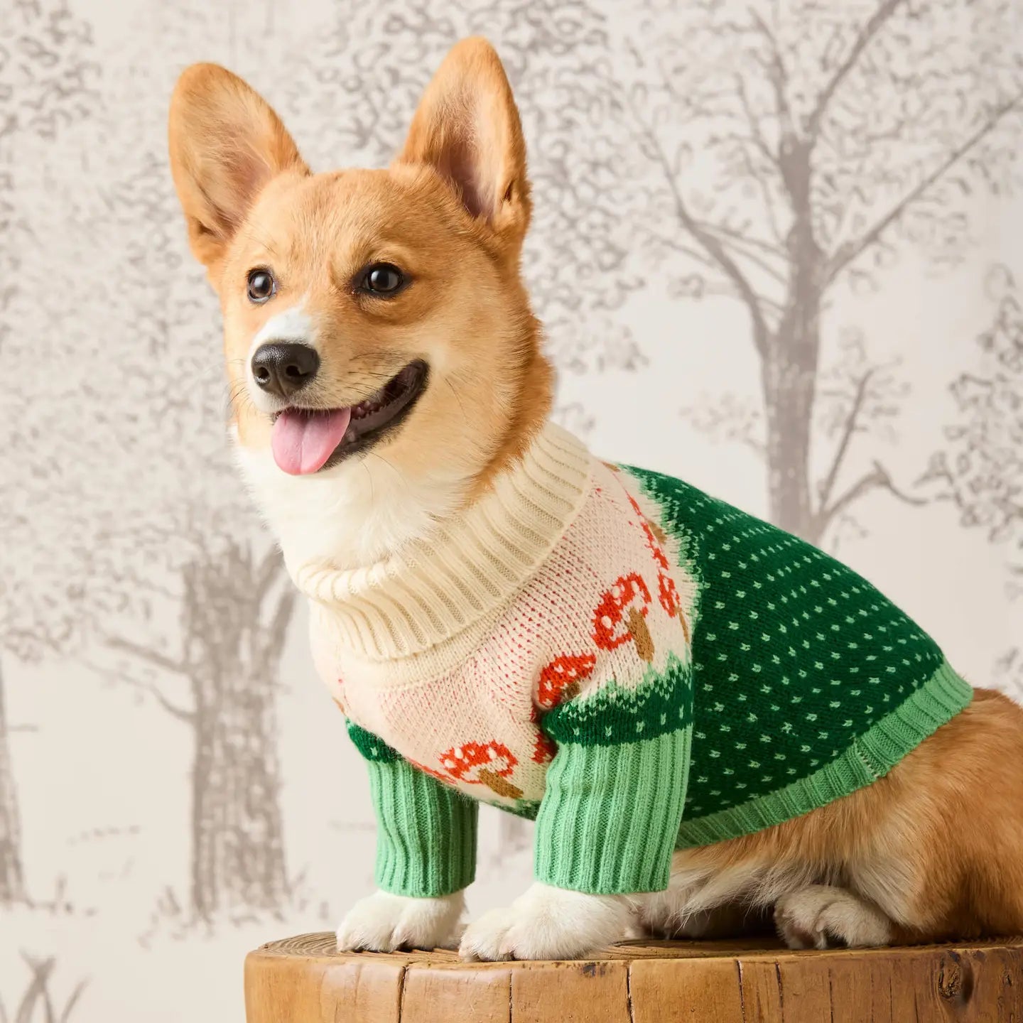 Toadstool Mushroom Dog Sweater