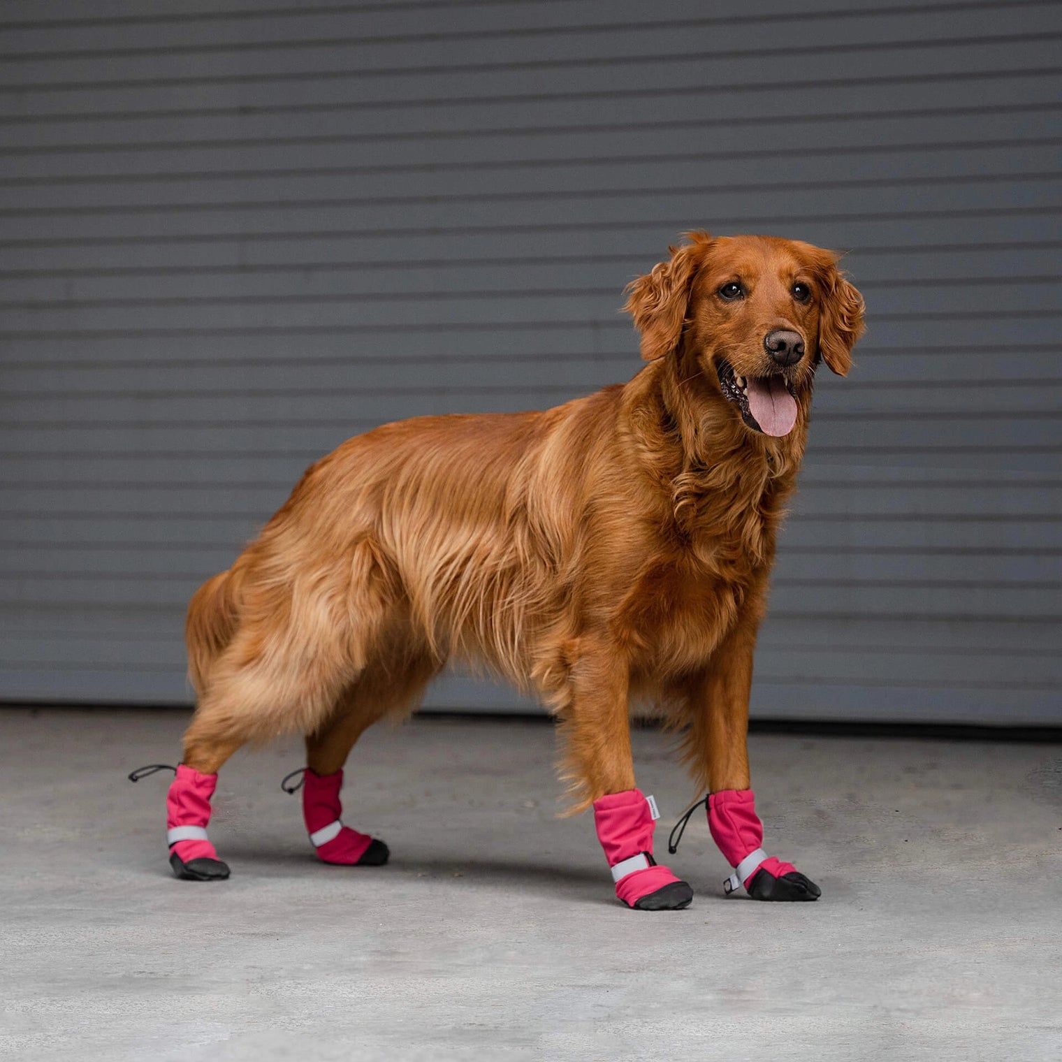 Soft Shield Boots, Pink