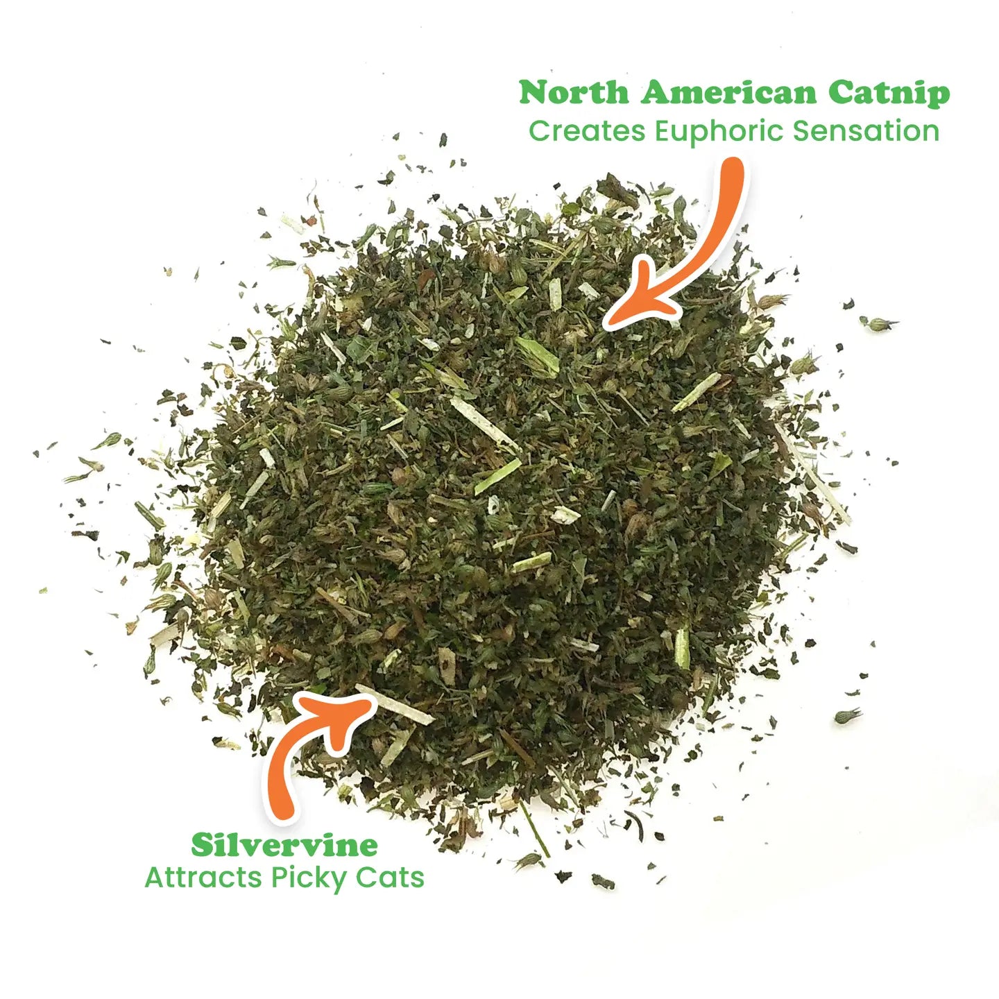Purple Passion Catnip