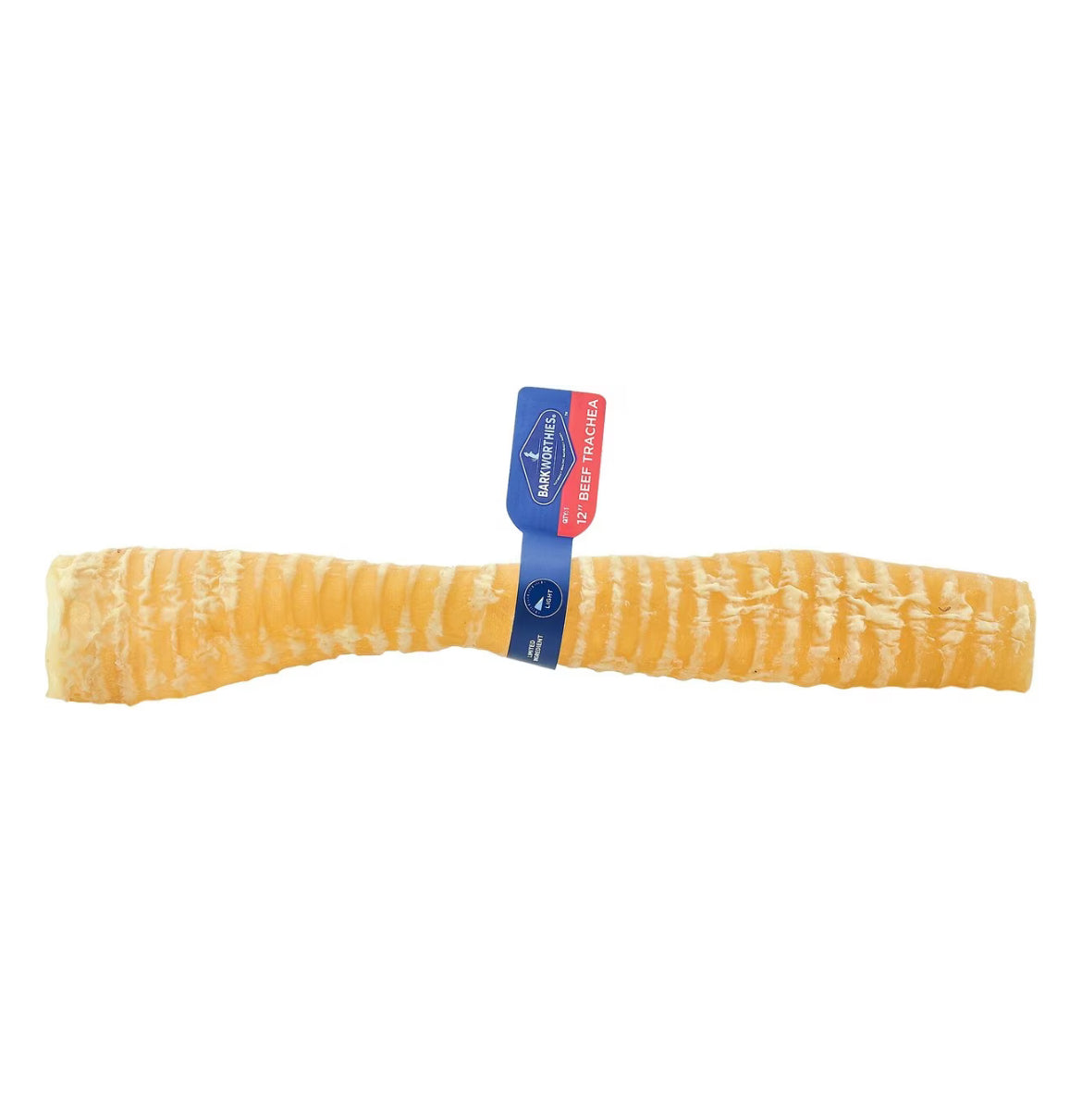 Trachea 12”