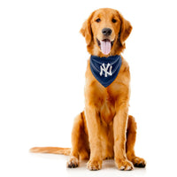 New York Yankees Reversible Bandana