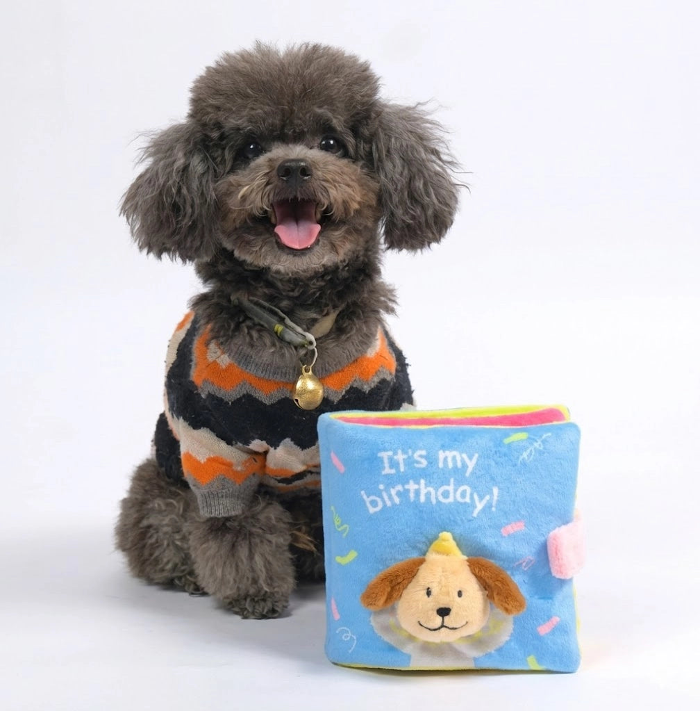 Plush Birthday Book Crinkle, Hide & Seek Squeaky Treat