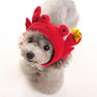 Crab Hat