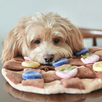 Fruity Delight Crepe Snuffle Mat