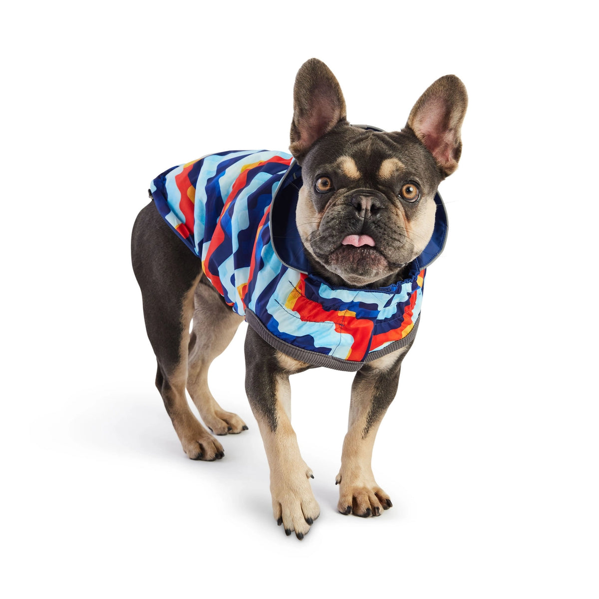 Reversible Elasto-Fit Raincoat - Blue
