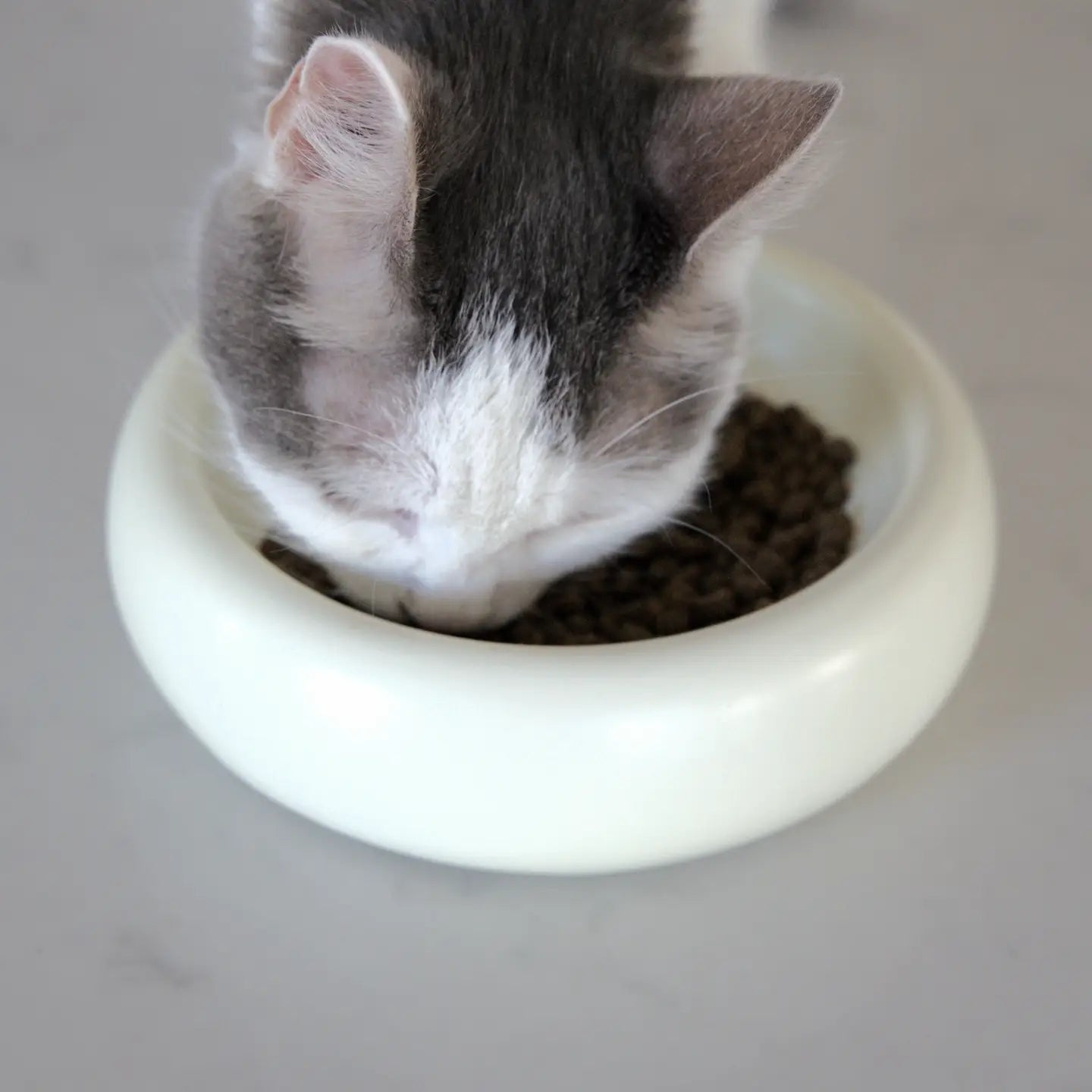 Ivory Halo Pet Bowl