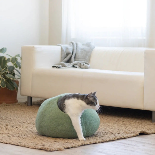 Felted Wool Cat Cave Bed Green