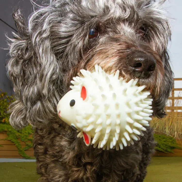 Sheep Dog Ball
