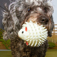 Sheep Dog Ball