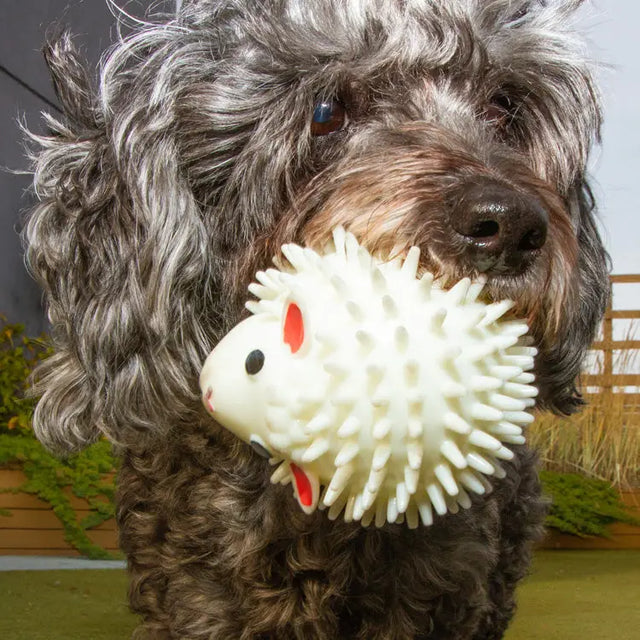 Sheep Dog Ball