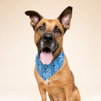 Blue Paisley Bandana, 3 Sizes
