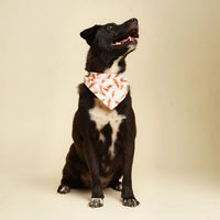 Hot Dog Sizzle Bandana, 3 Sizes