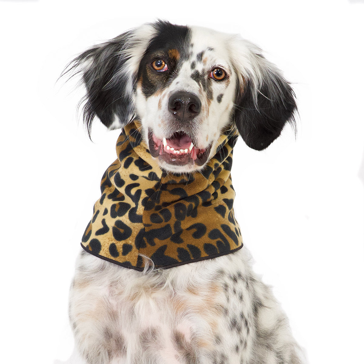 Snood -Leopard