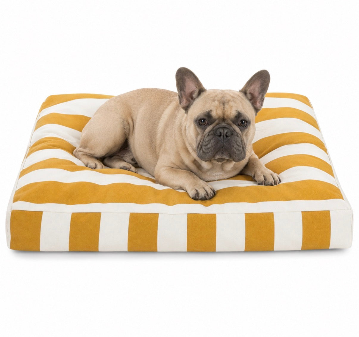Yellow Stripe Dog Bed