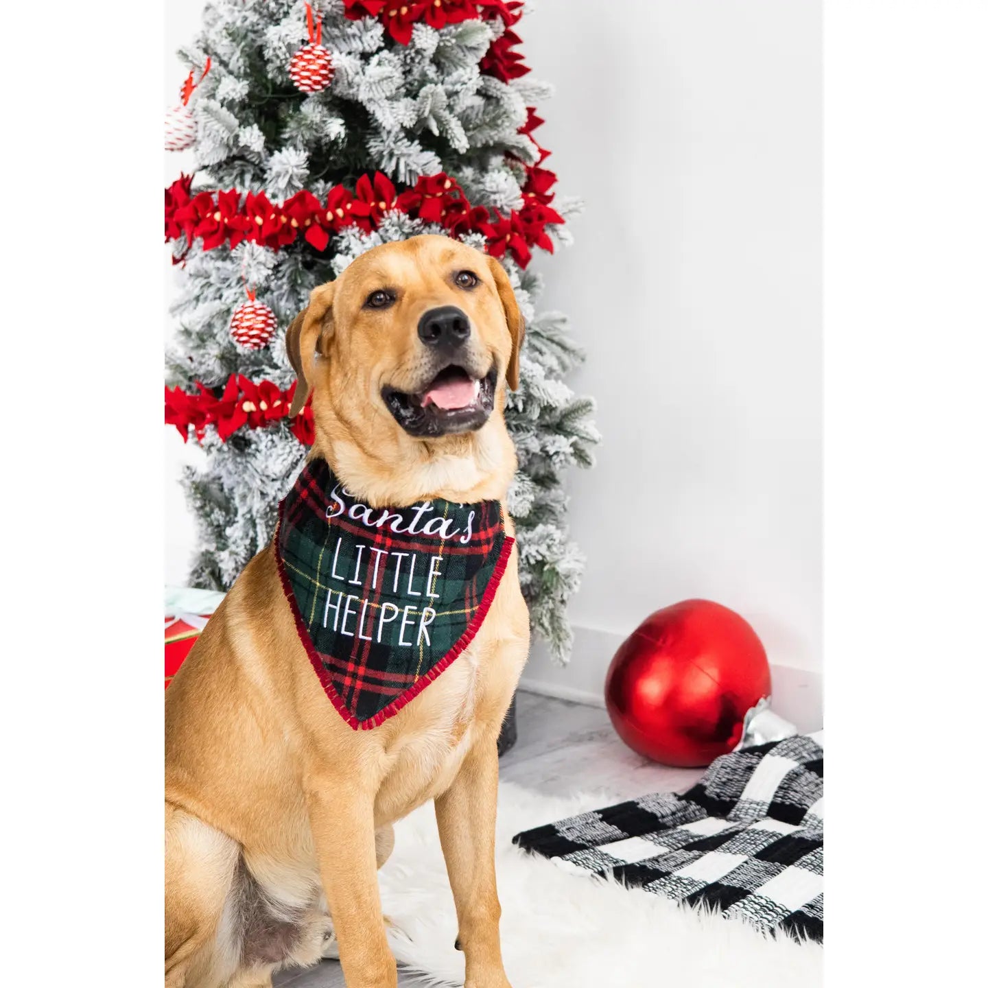 Santas Lil Helper Bandana