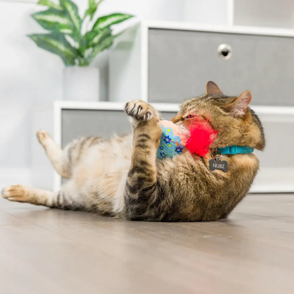 Jelly Roll & Meowchewits Cat toy