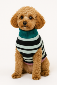 Black & Mint Stripe Merino Wool Knit Sweater