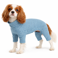 Striped Spring Onesie, Blue