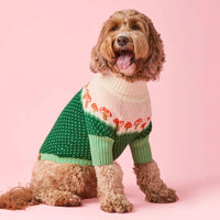 Toadstool Mushroom Dog Sweater