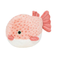 Dottie Puffer Fish