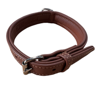 Brown Leather Collar