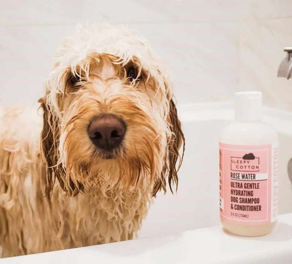 Hydrating Dog Shampoo Conditioner Rose Water LoveThyBeast