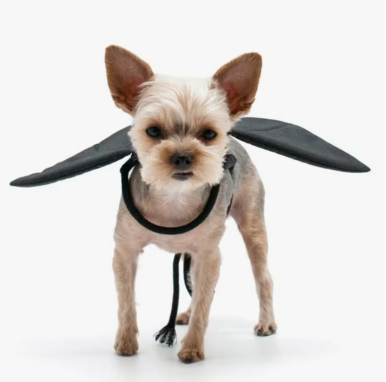 Bat Wings Costume