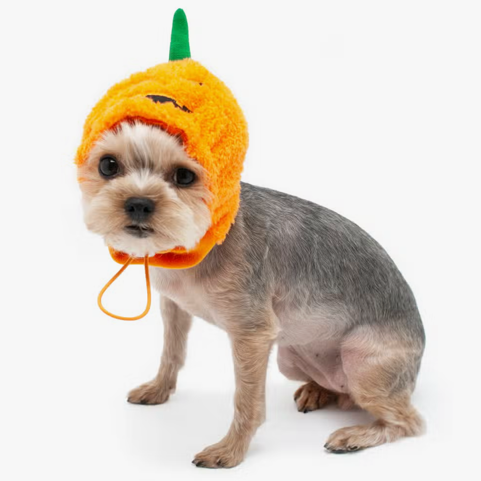 Jack O Hat