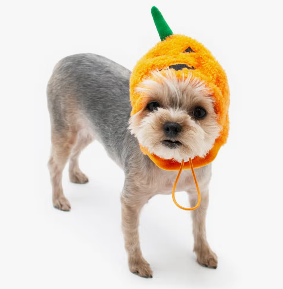 Jack O Hat