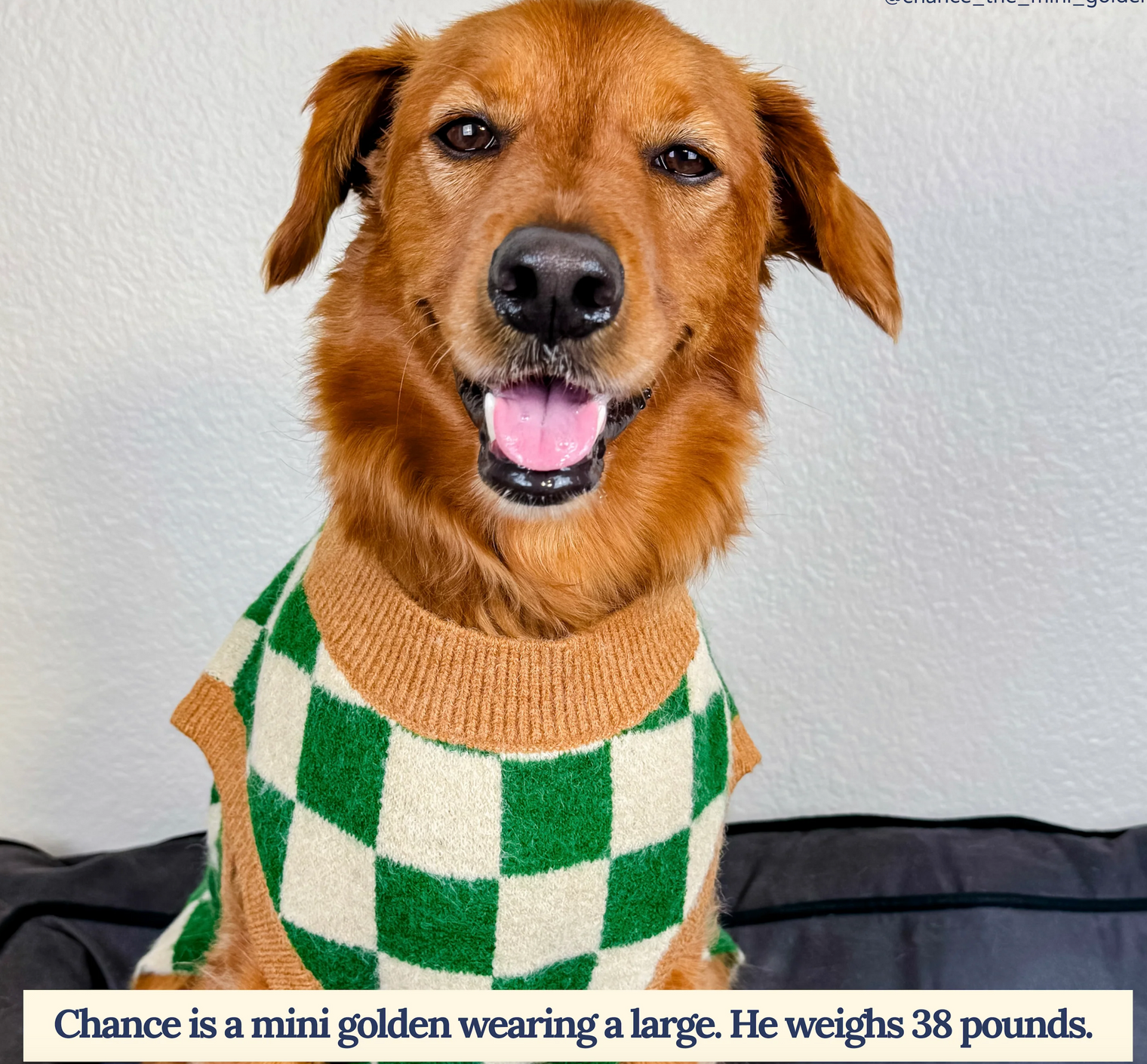 You're a Square Sweater