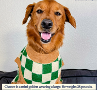 You're a Square Sweater
