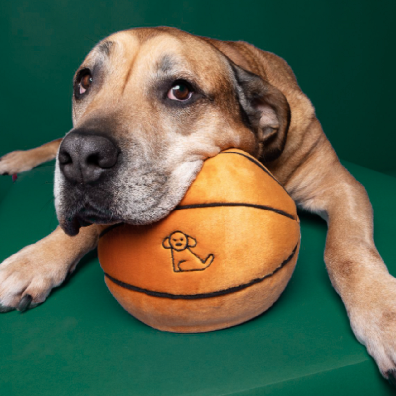BasketBall Plush