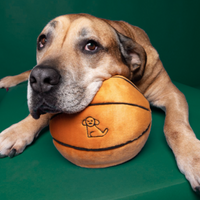 BasketBall Plush
