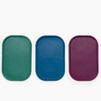 No Slip Dog Feeding Placemats