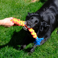 KONG Rope Rally Tug