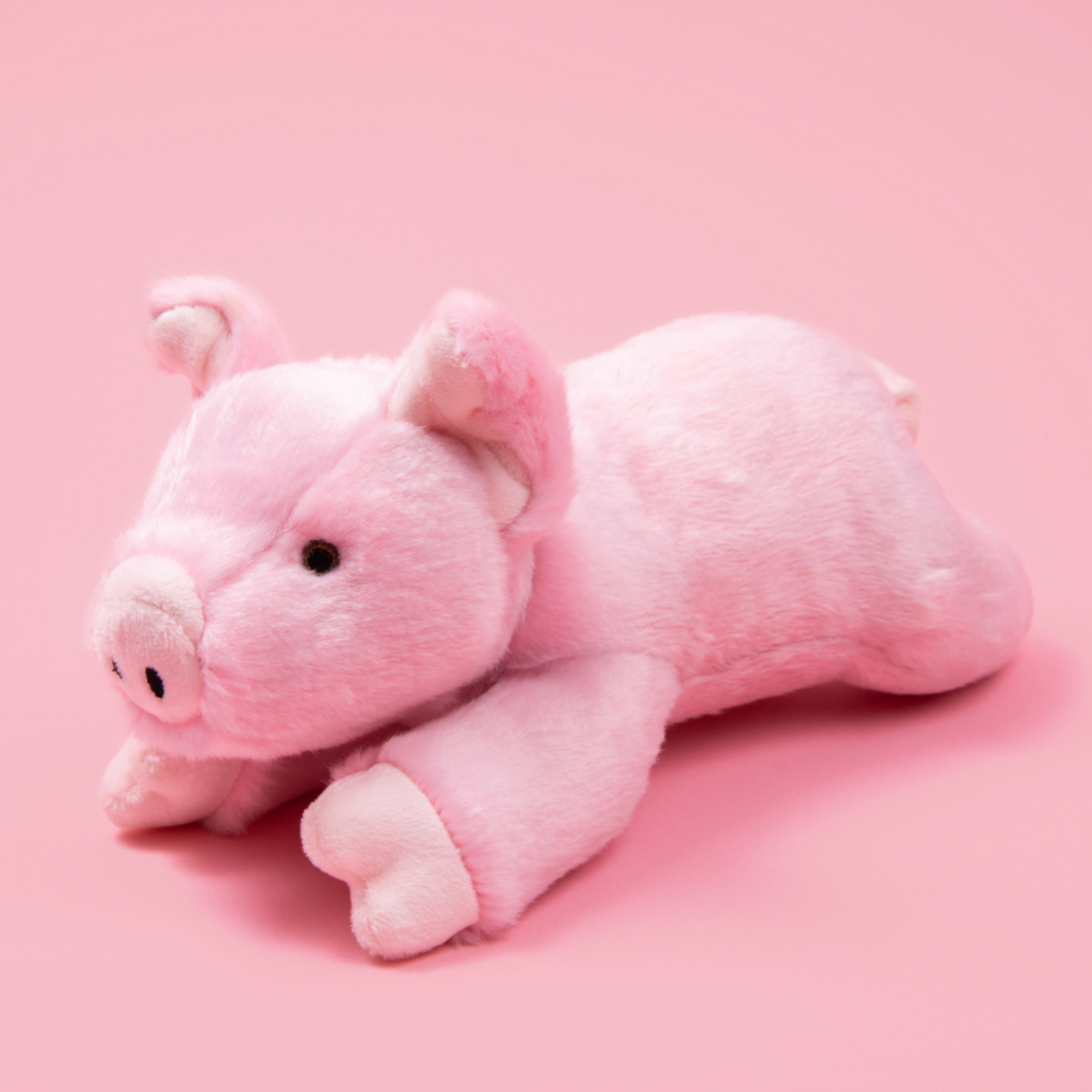 Petey Pig