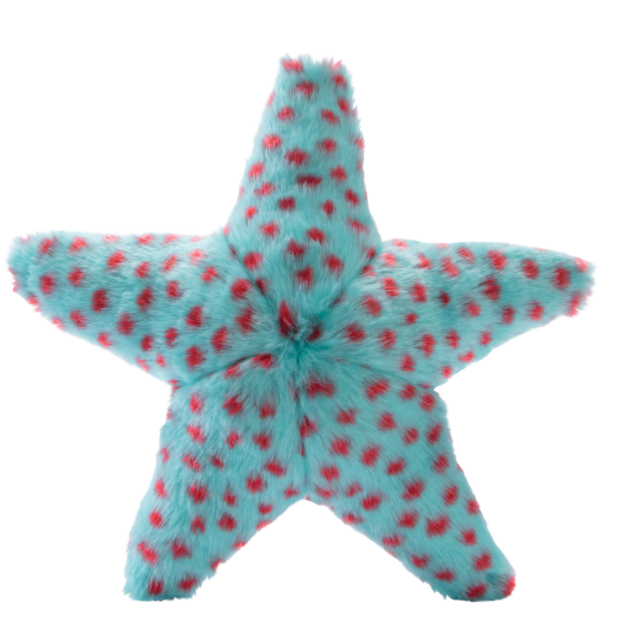 Ally Starfish