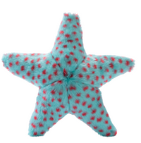 Ally Starfish