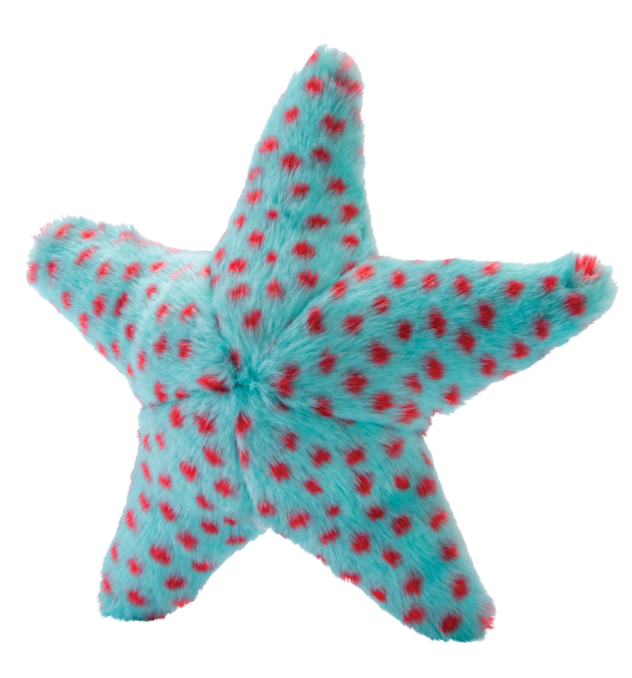 Ally Starfish
