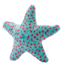 Ally Starfish