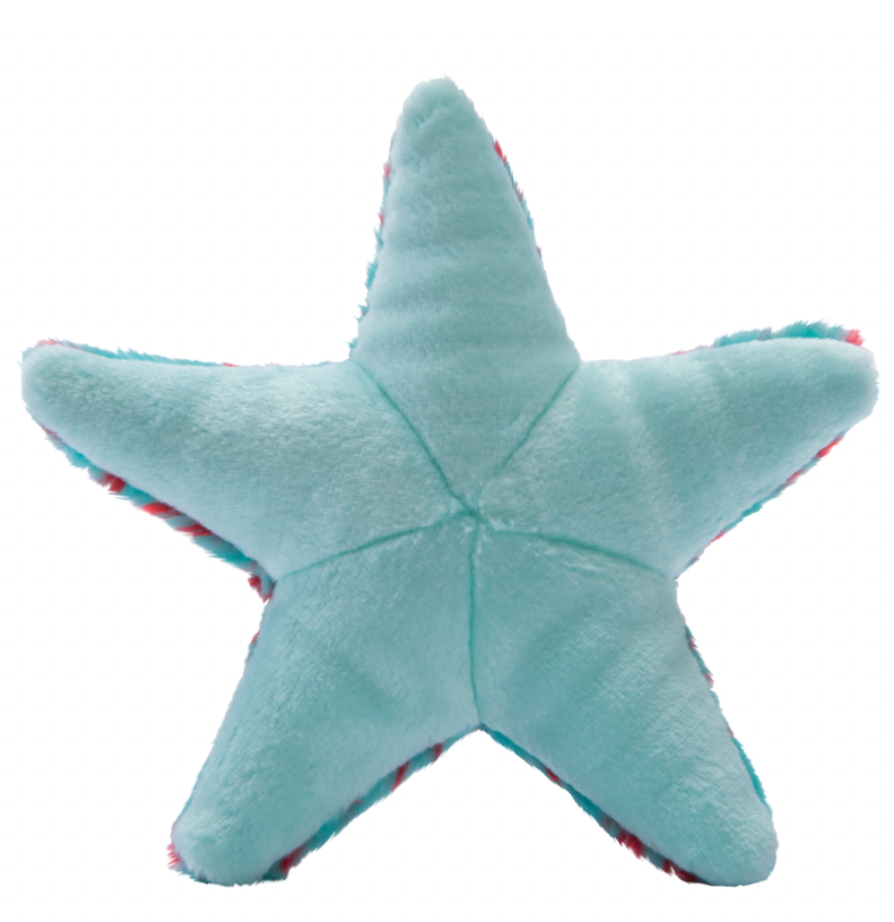 Ally Starfish